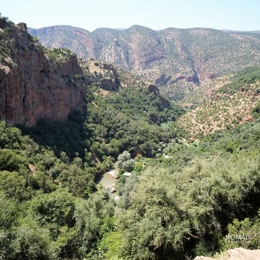 Ouzoud Waterfalls Olive Trees